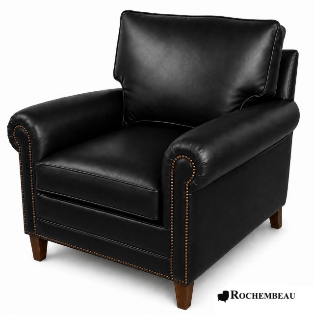 86 DARWIN 526 noir.jpg