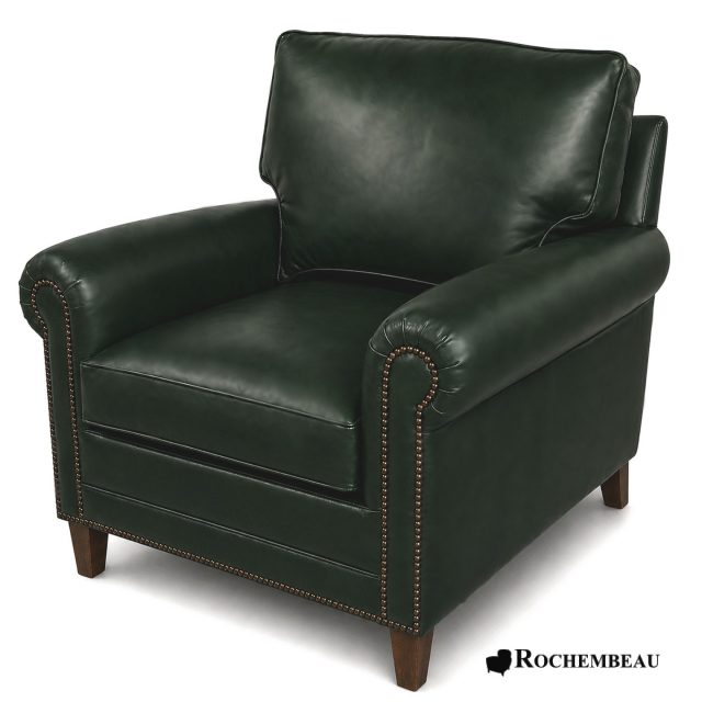 86 DARWIN 527 vert-angalis.jpg