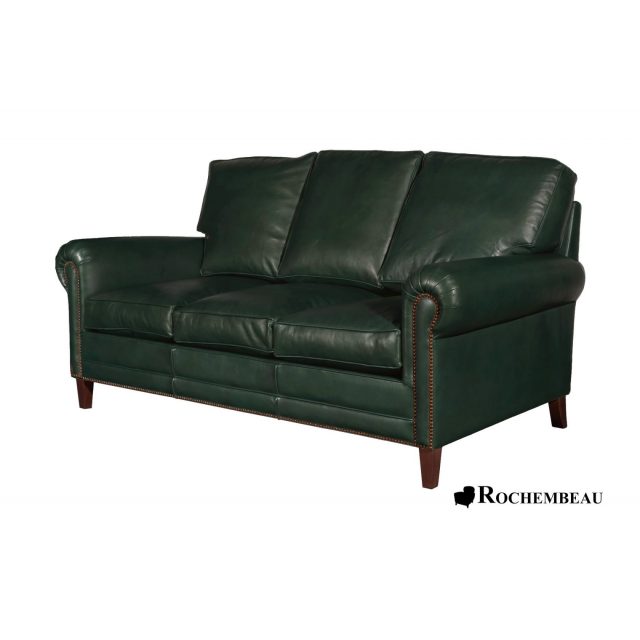 86 DARWIN 588 c3pl-vert-anglais.jpg